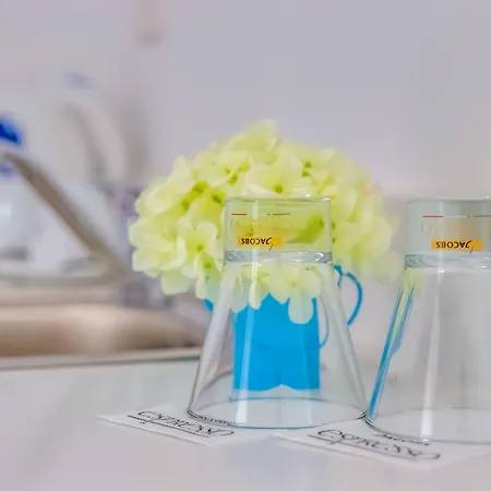 公寓式酒店 Blue Harbour Boutique